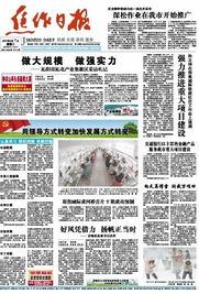 焦作日报数字报刊与焦作网站建设 数字化转型中的区域媒体之路